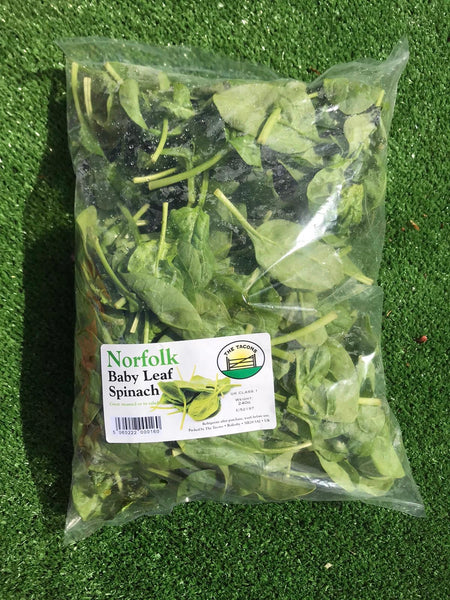 Norfolk Baby Leaf Spinach The Tacons grown at The Grange Farm, Rollesby